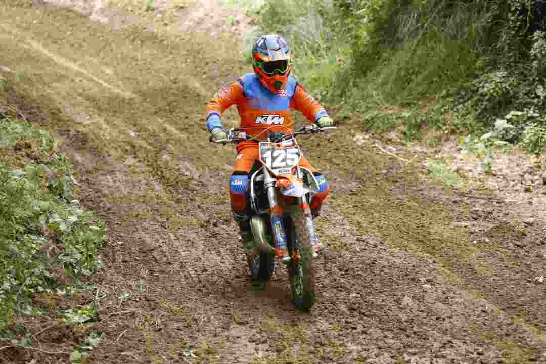 A8D8212